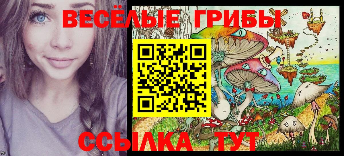 Псилоцибиновые грибы мицелий Ипатово